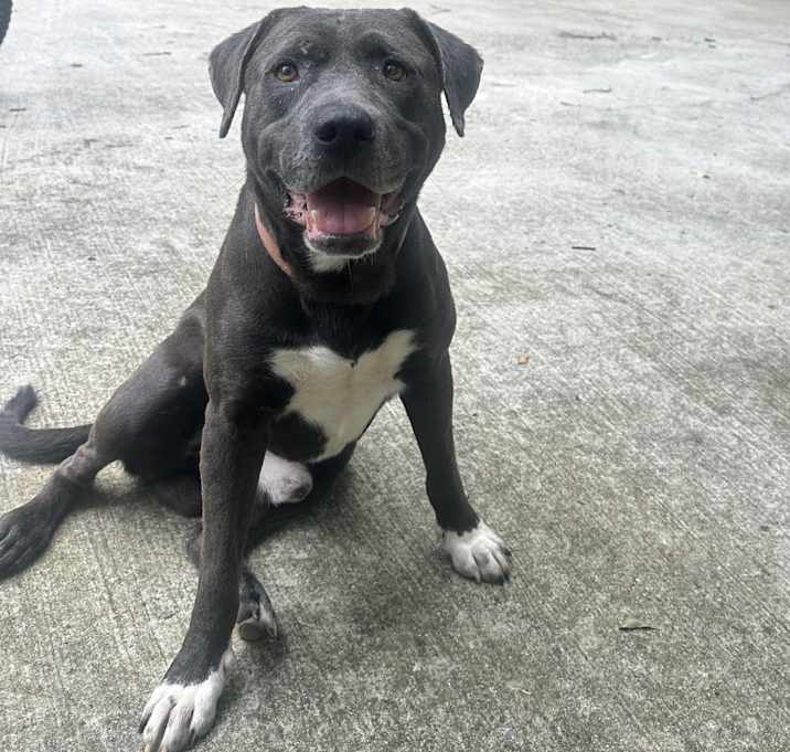 Photo of Flint