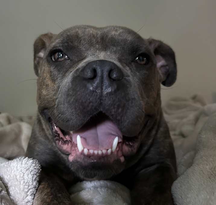 Photo of Blue