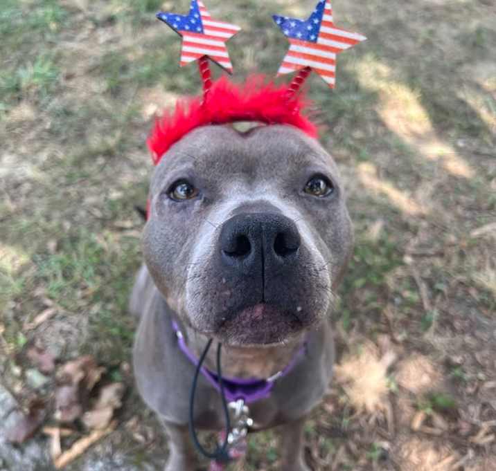 Photo of Luna