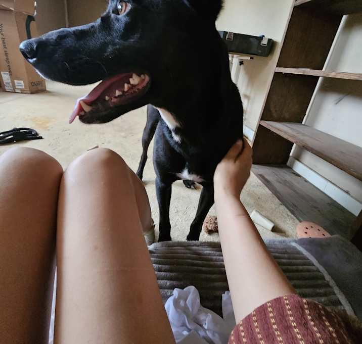 Photo of Louie