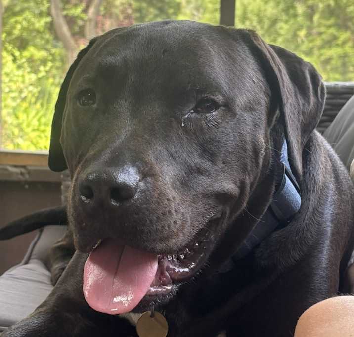 Photo of Winston