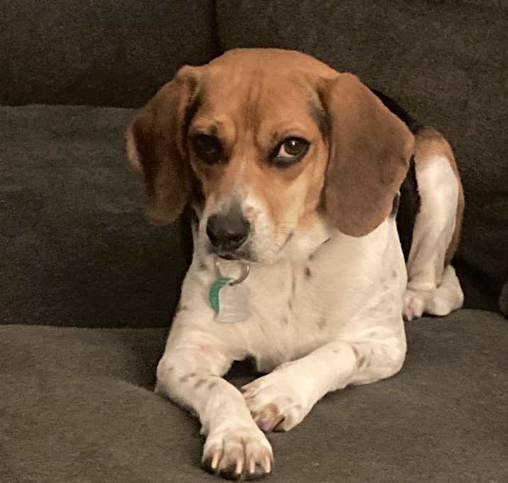 Photo of Sissy