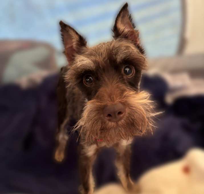 Photo of Elio