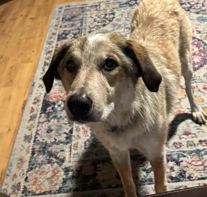Photo of Hazel