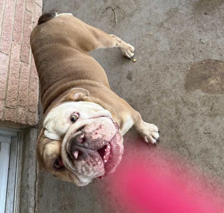 Photo of Gumbo