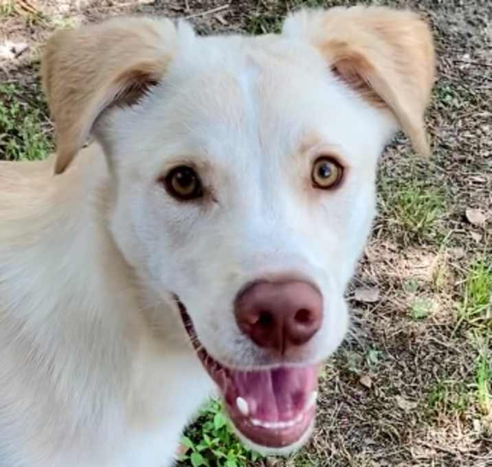 Photo of Beignet
