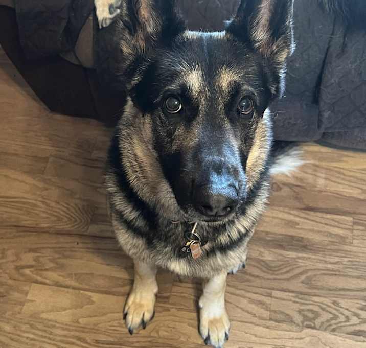 Photo of Odin
