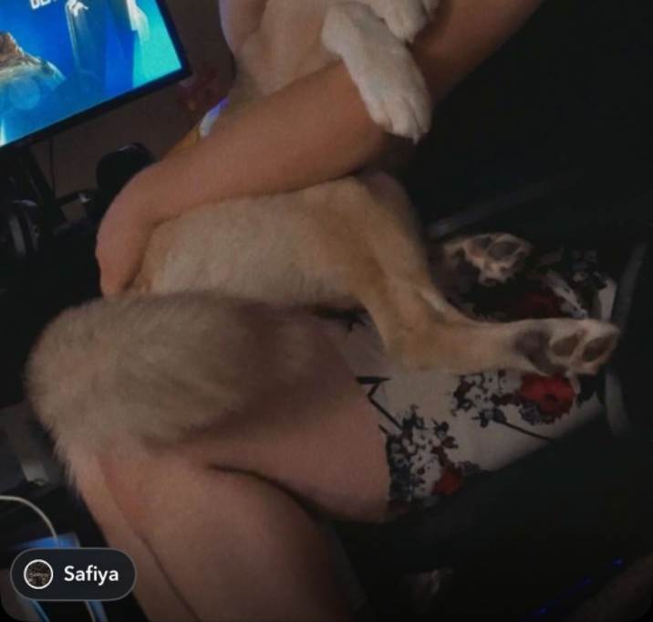 Photo of Deimos