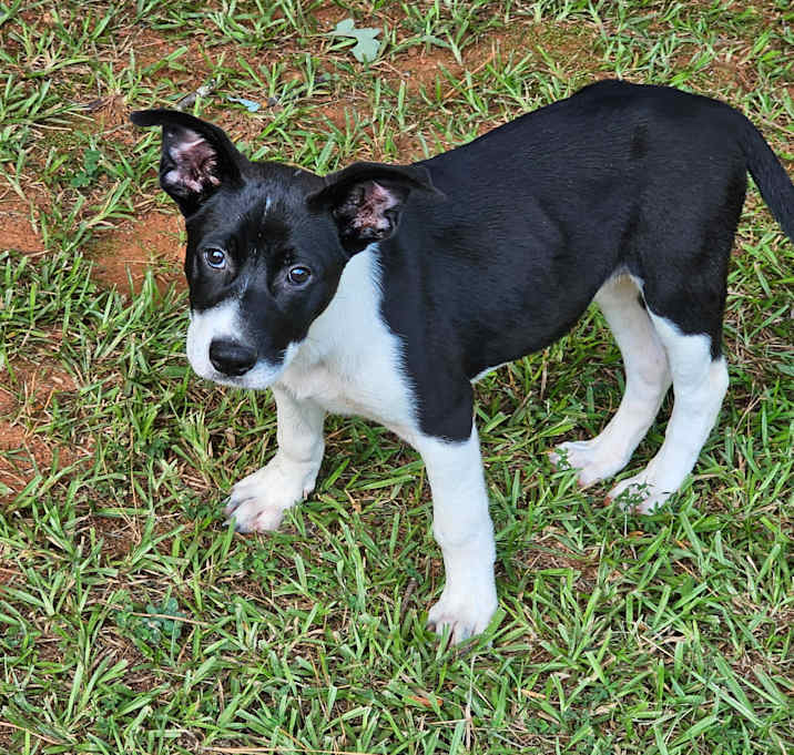 Photo of Kiki