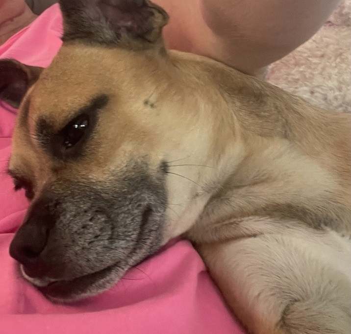 Photo of Charlie