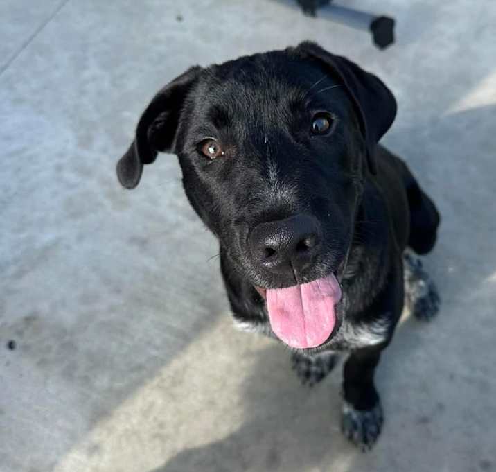 Photo of Moby
