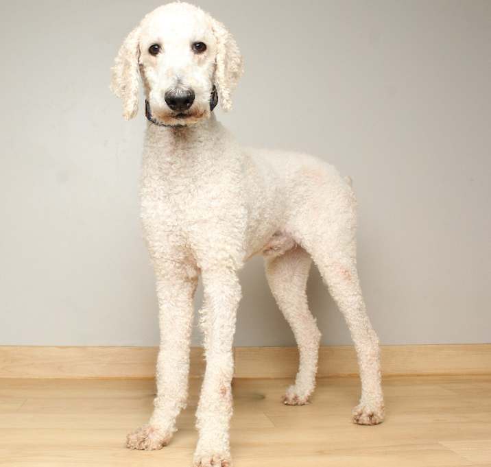 Photo of Maxx D65442