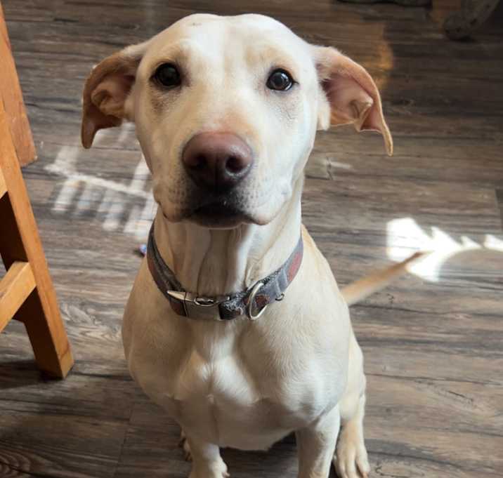 Photo of Winnie