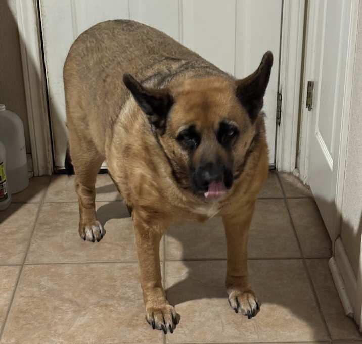 Photo of Daisy