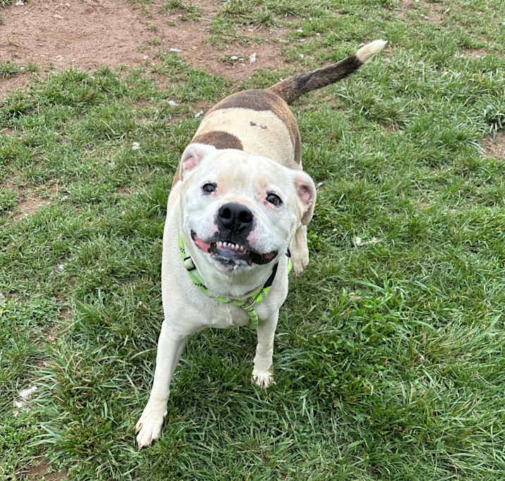 Photo of Pudge