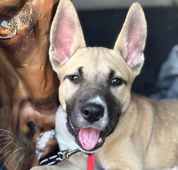Photo of Angel