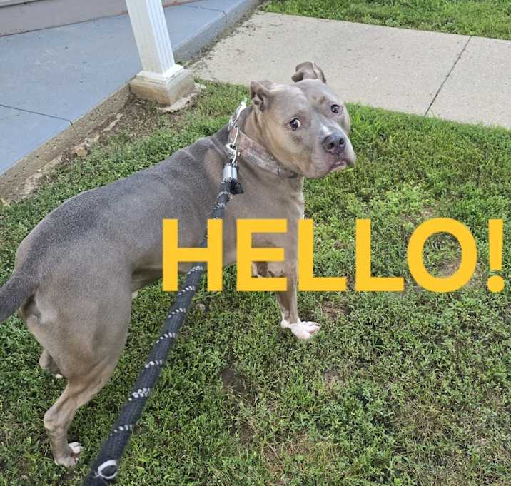Photo of Rex