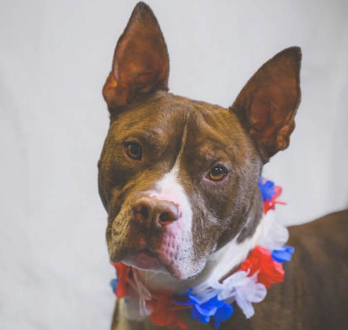Photo of Tank