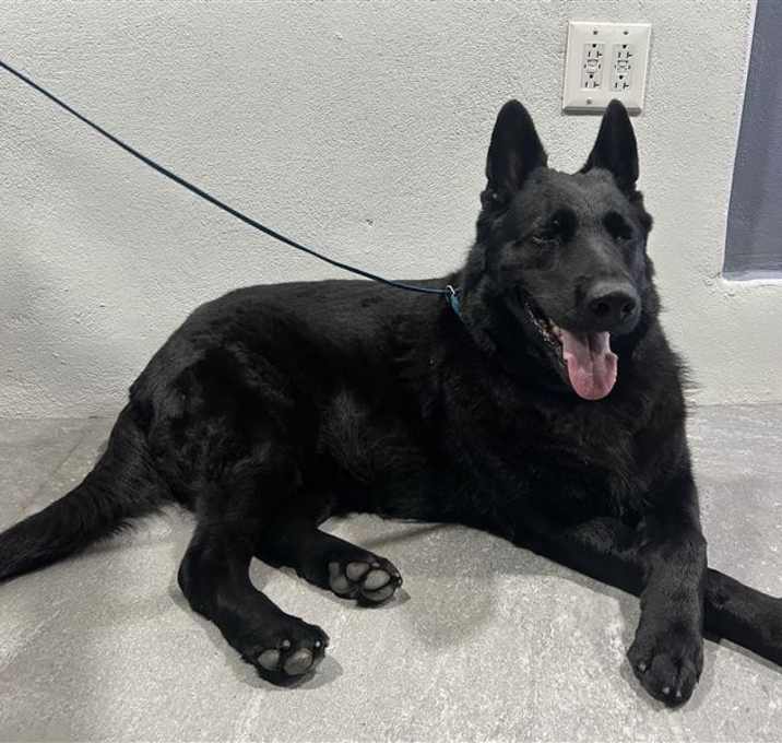 Photo of Sasha