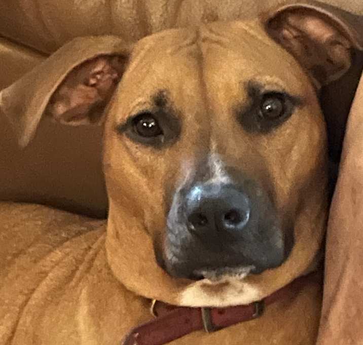 Photo of Jazz