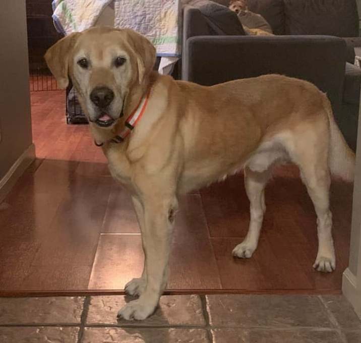 Photo of Frankie