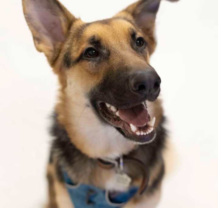 Photo of Bunker