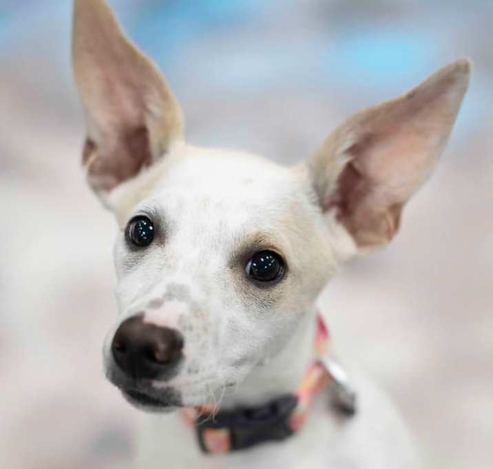 Photo of Clarice