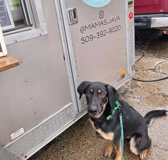 Photo of Pepper