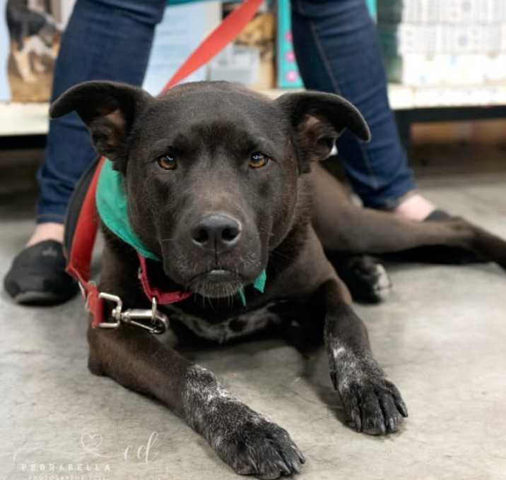 Photo of Lasso