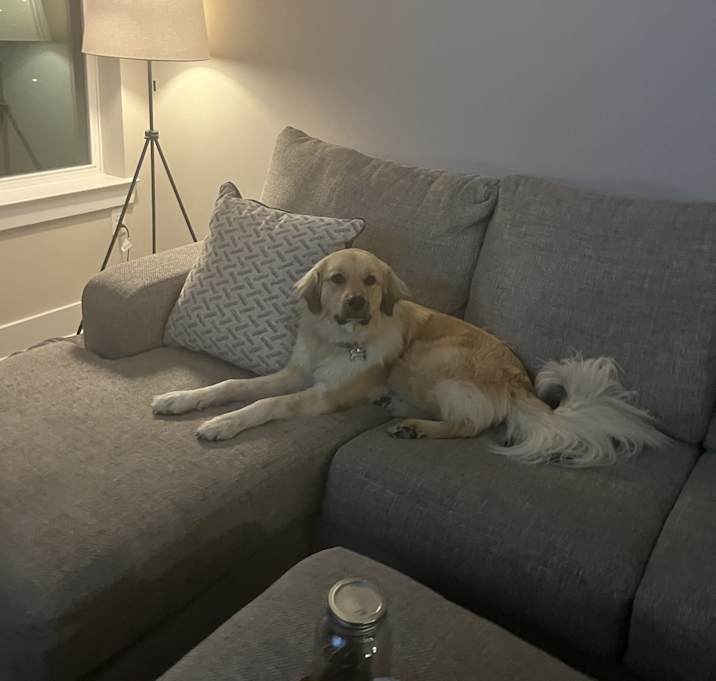 Photo of Bentley