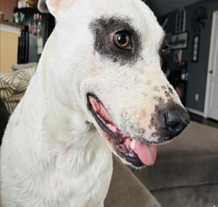 Photo of FILLIE