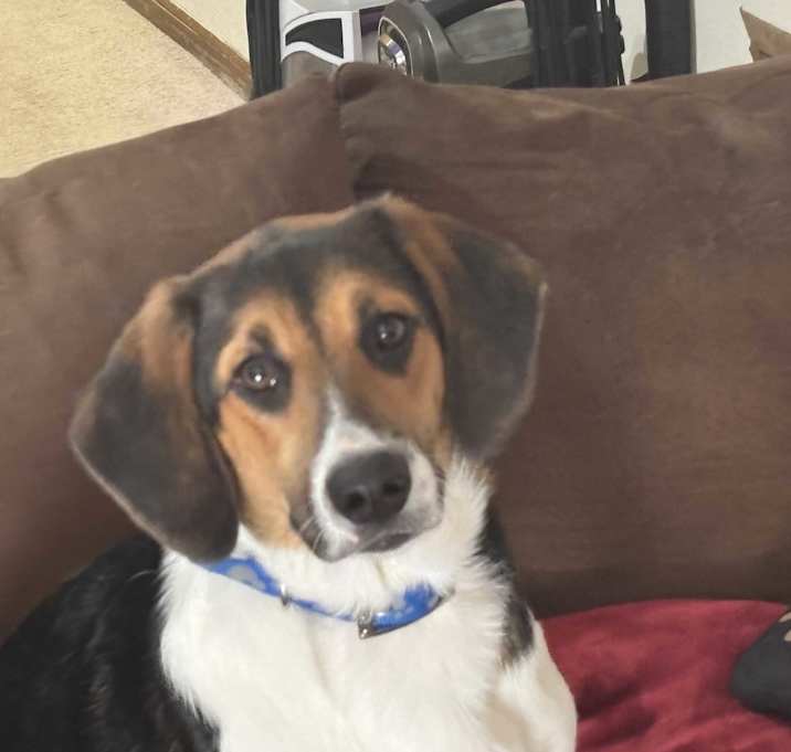 Photo of Lacie