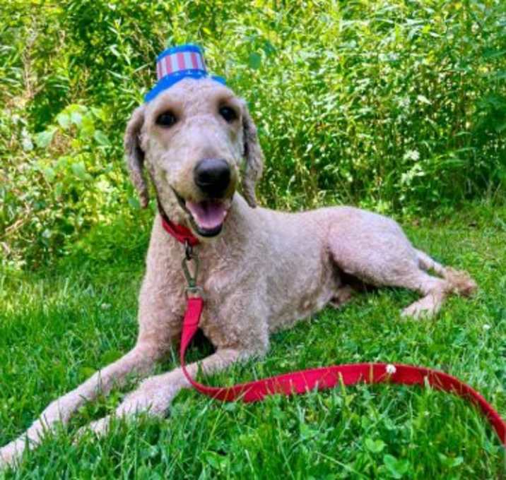 Photo of Brody