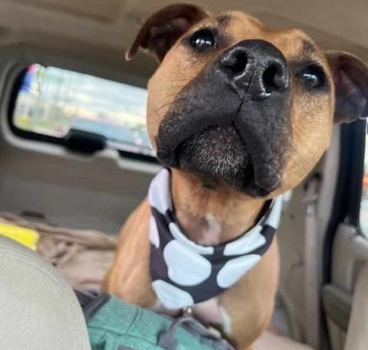 Photo of Ruby