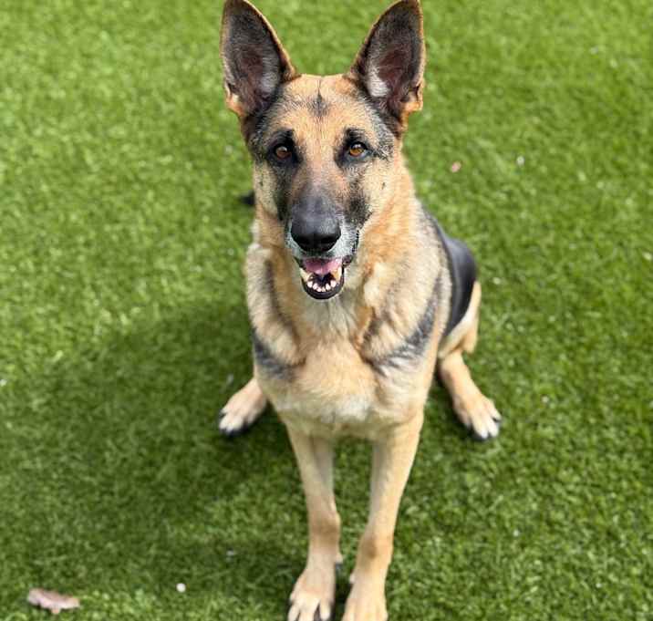 Photo of Roxy 0432