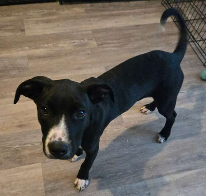 Photo of Chance