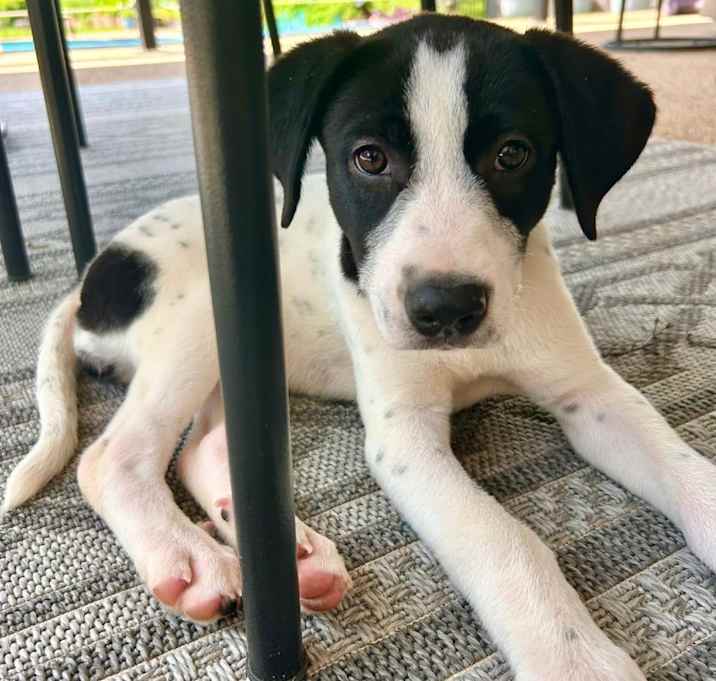 Photo of IZZY