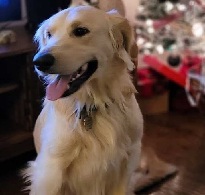 Photo of Phoenix
