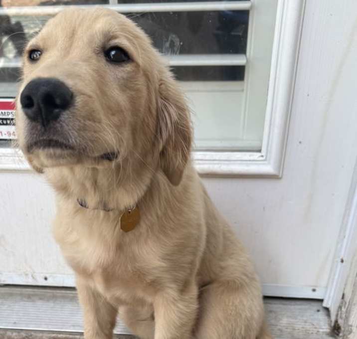 Photo of Boone