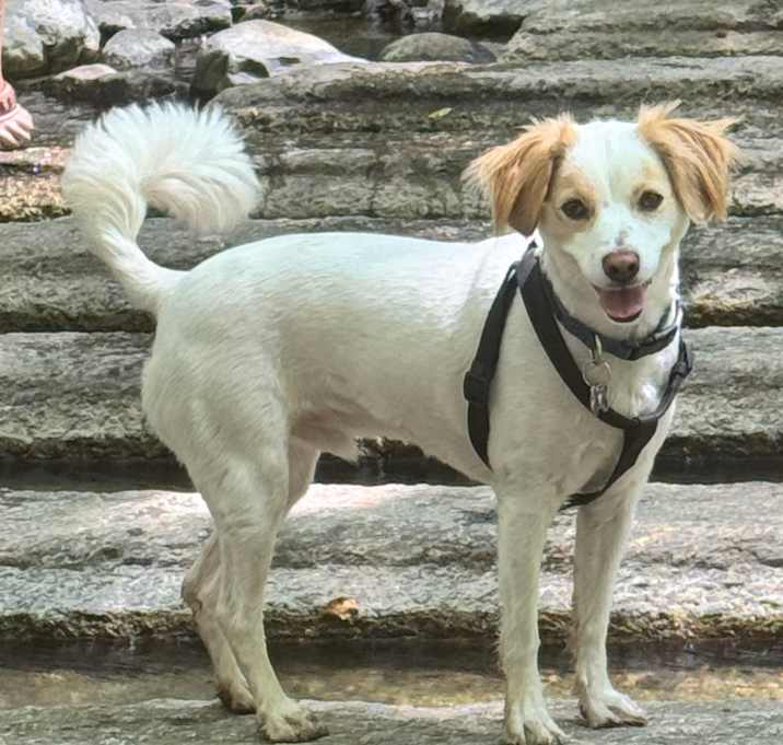 Photo of Max