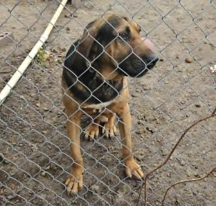Photo of Axle