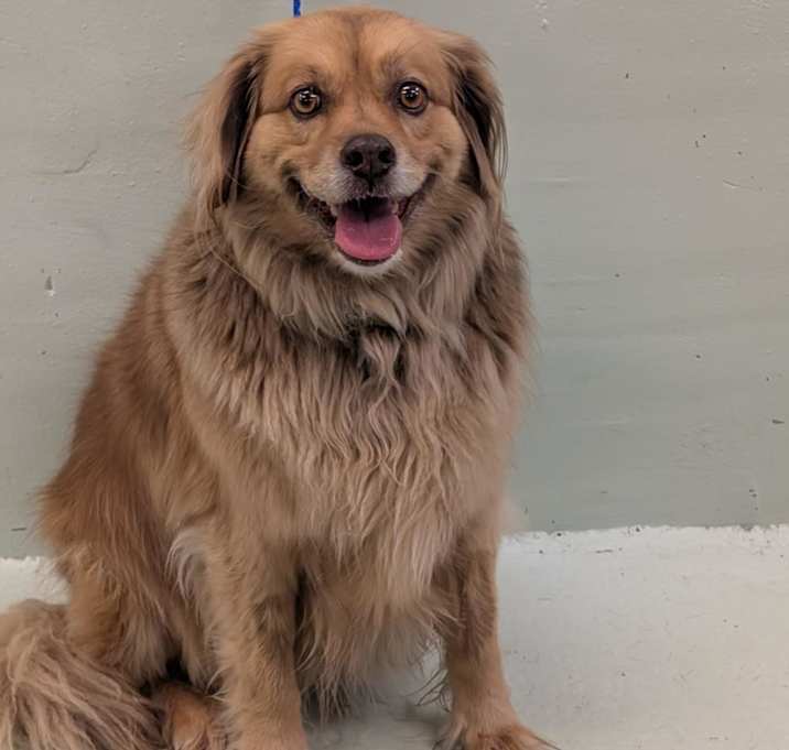 Photo of LUCY