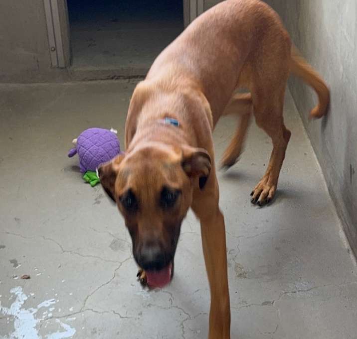 Photo of Luigi A2198238