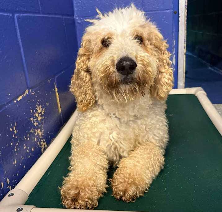 Photo of CT Barkley