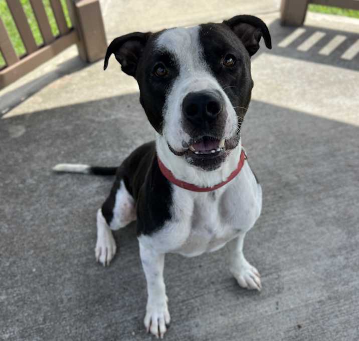 Photo of Maverick