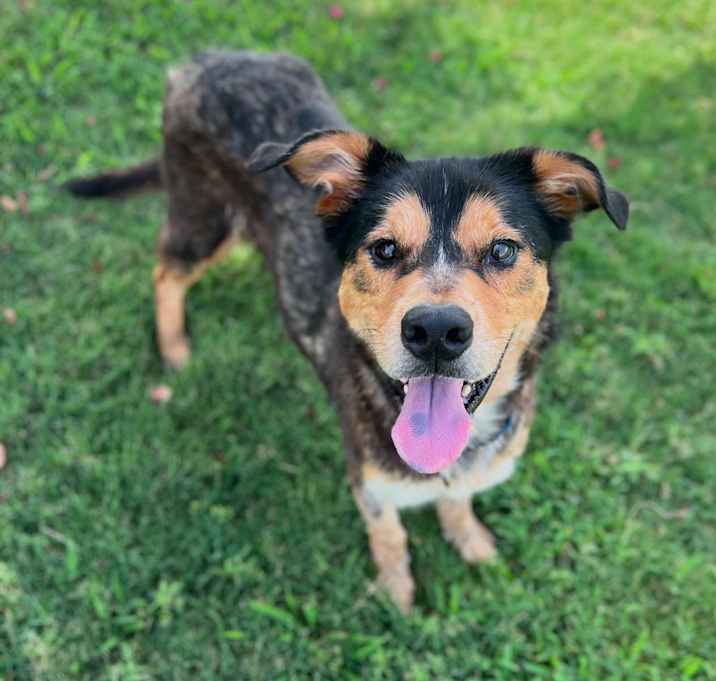 Photo of Max