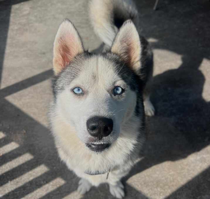 Photo of Zeus