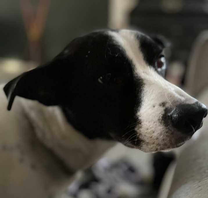 Photo of Bubs
