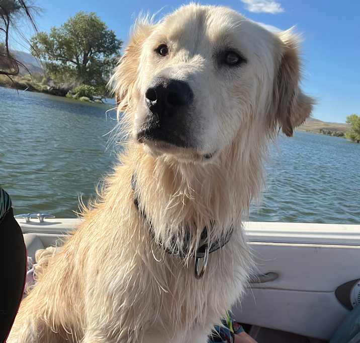 Photo of Thor