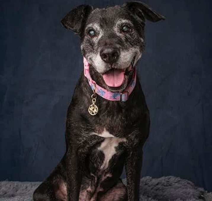 Photo of Charlotte